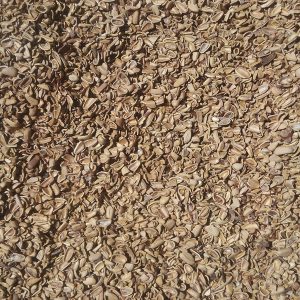 Cascara de Pina - Garzon Green Energy