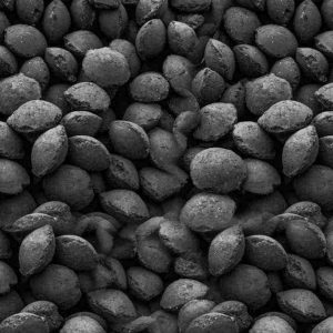 briqueta de carbon vegetal